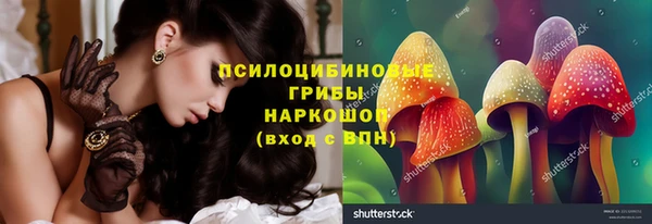 марки nbome Бородино