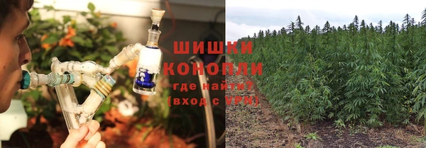марки nbome Бородино