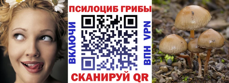Псилоцибиновые грибы мицелий  Черногорск 